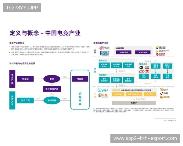 电竞行业用词规范发布推进职业传播一致性，关于电竞职业